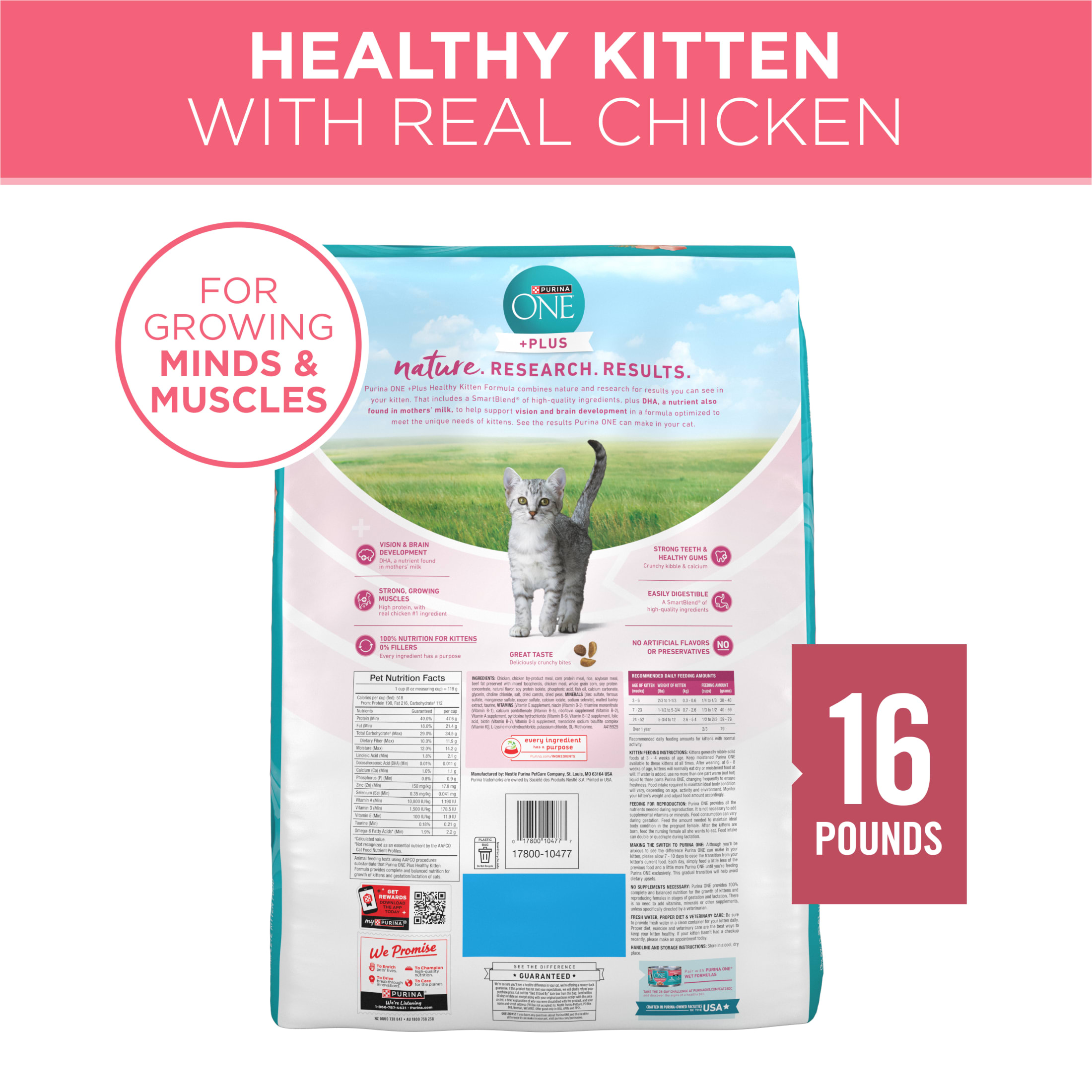 Purina ONE Plus Healthy Kitten Formula Dry Cat Food photo 7