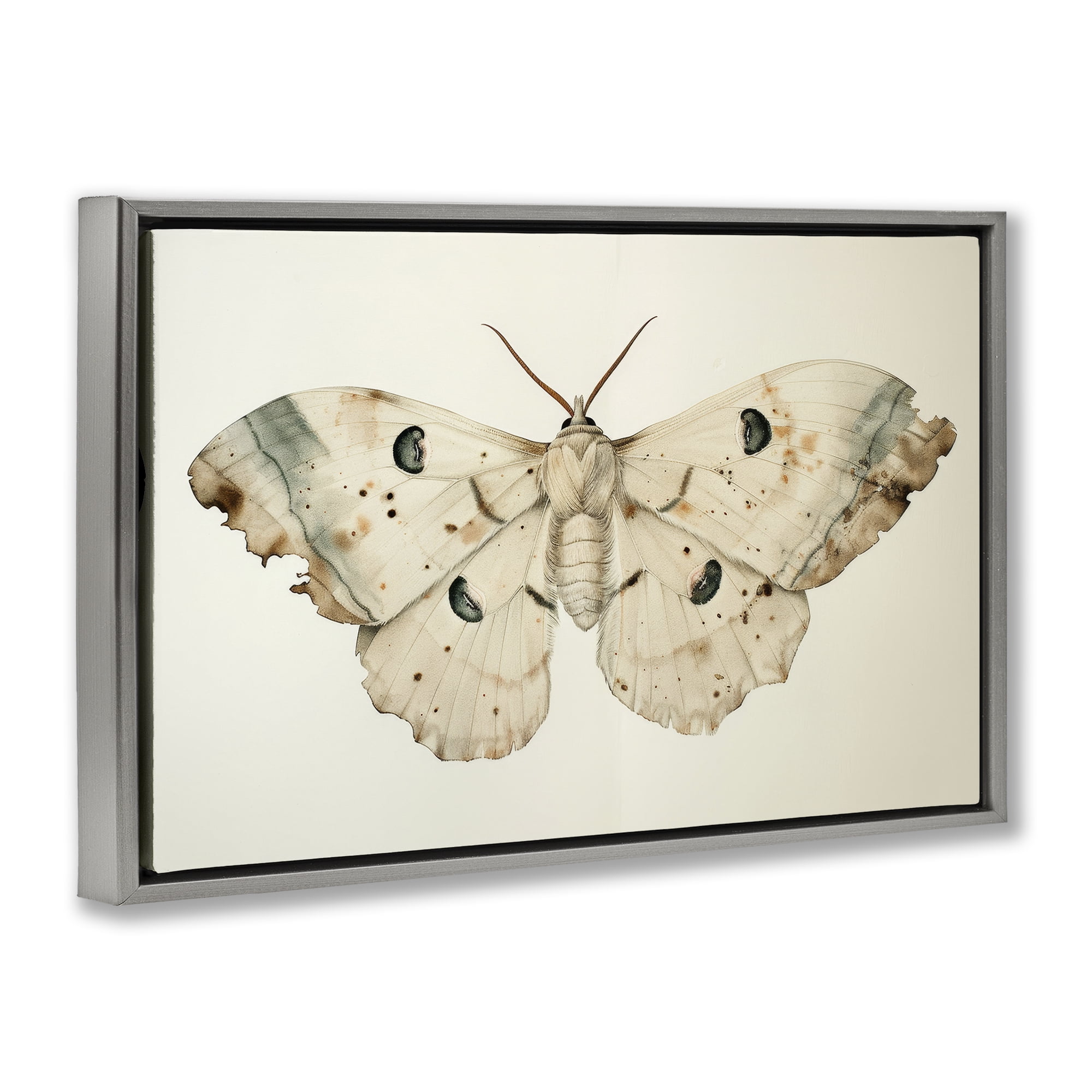 Stupell Industries Vintage Beige Moth Animals Painting Gray Floater Framed Canvas Art Print Wall Art, 25 x 17