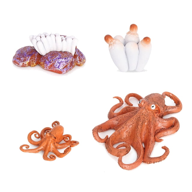 1 Set Spade Worm Model Premium Plastic Material Meaningful Insect Figurines Early Educational Growing Models for School Project octopus type 2