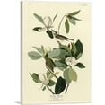 thumbnail image 1 of ARTCANVAS Warbling Flycatcher Canvas Art Print by John James Audubon - Size: 26" x 18" (1.50" Deep), 1 of 9
