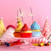 Exquisite #10 Party Sparklers, 72 Count, Wedding Sparklers