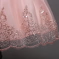 thumbnail image 5 of UTTOASFAY Baby Girls Dress Toddler Kids Baby Girls Floral Ball Gown Princess Dress Party Dress Clothes Pink 5-6 Years, 5 of 9