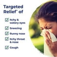 thumbnail image 3 of Boiron AllergyCalm Tablets for Relief from Allergy and Hay Fever Symptoms of Sneezing, Runny Nose, and Itchy Eyes or Throat - 60 Count, 3 of 3