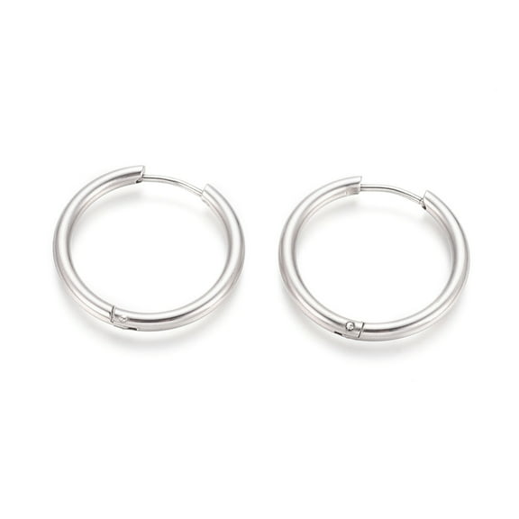 304 Stainless Steel 10 pair Tarnish Resistant 304 Stainless Steel Huggie Hoop Earrings Hypoallergenic Earrings with 316 Surgical Stainless Steel