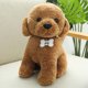 thumbnail image 5 of 22cm Cute Simulation Of Many Dog Plush Toys Delicate Small Soft Kawaii Two Ha Dolls For Children And Girlfriends Birthday Gifts, 5 of 5