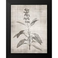 thumbnail image 2 of Brown, Denise 19x24 Black Modern Framed Museum Art Print Titled - Sepia Botanical 1, 2 of 5
