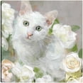 thumbnail image 1 of Cuadro Decorativo - Jolis Chats III Jr Impresión en canvas, estrechado, 1 of 2