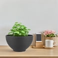 thumbnail image 1 of unbranded Maceta Hydroponic De Resina Oscuro Para Plantas De Y Loto Ideal Para Interior, 1 of 8
