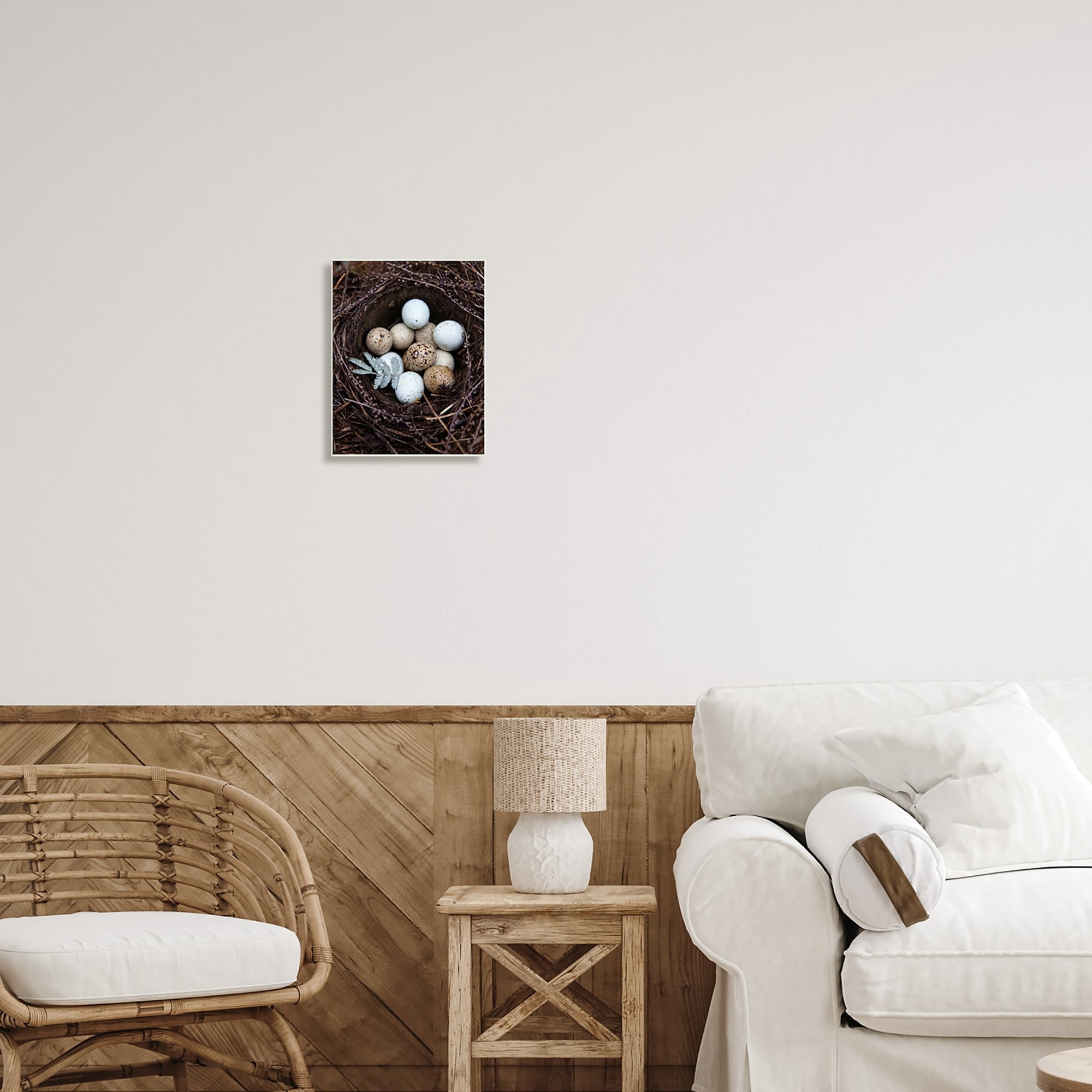 Stupell Industries Close Up Bird Eggs Nest Wildlife Nature Photography Photograph Unframed Art Print Wall Art, Design by Tania Soderman