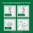 thumbnail image 4 of Advantage II Vet-Recommended Flea Prevention for Ferrets 1 lb+, 2-Monthly Treatments, 4 of 7