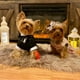 thumbnail image 4 of Camisa para perro Qidelong, ropa de esmoquin de boda para cachorro, 4 of 9