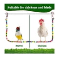 thumbnail image 2 of Percha de pollo, soporte de madera para pollo, juguete para gallinas, columpio de pollo hecho a mano, soporte de percha para pájaros, juguete, 2 of 5