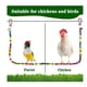 thumbnail image 2 of Percha de pollo, soporte de madera para pollo, juguete para gallinas, columpio de pollo hecho a mano, soporte de percha para pájaros, juguete, 2 of 7