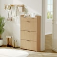 thumbnail image 2 of QinaQin Slim Three-Compartment Shoe Cabinet with a 31.5-Inch Recessed Design, Adjustable Shelves, and Freestanding Entryway Storage Unit, 2 of 8