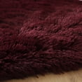 thumbnail image 4 of LELINTA 15.75 x 23.62 inch Super Soft Fluffy Floor Rug Washable Shag Rug Cozy Furry Rugs Area Rug Bedroom Dining Room Anti-skid Carpet Yoga Mat Child Play Mat, 4 of 5
