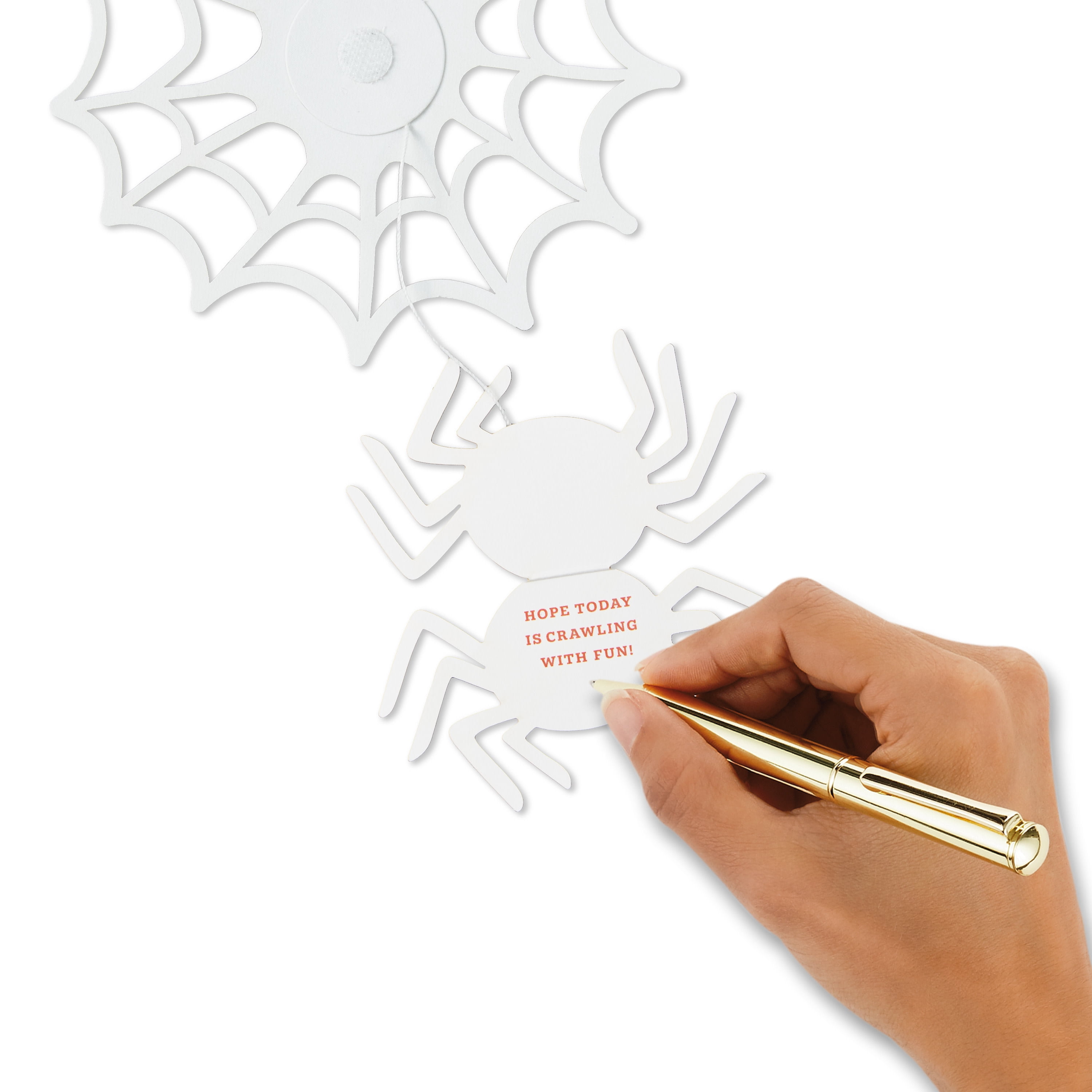 Hallmark Paper Craft Halloween Card With Mini Card (Spider in Web), 1 Count