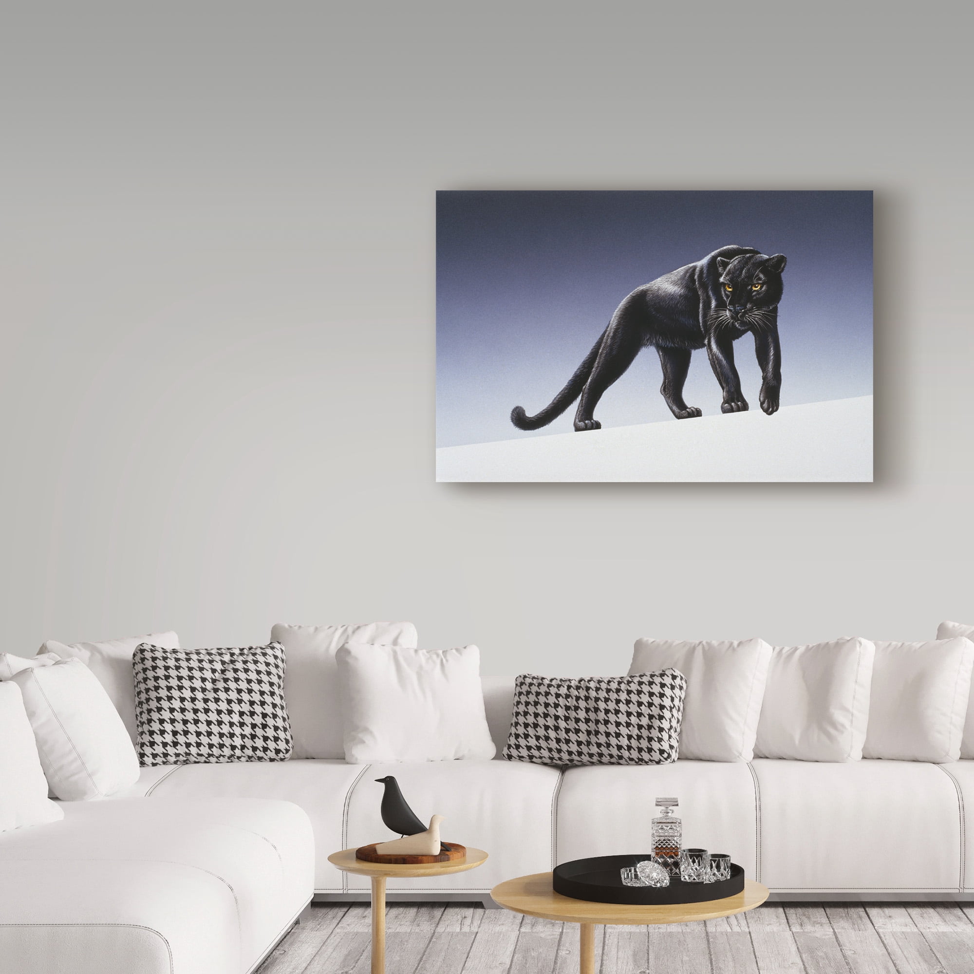 Trademark Fine Art 'Black Panther Light' Canvas Art by Harro Maass