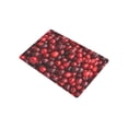thumbnail image 2 of CADecor Food Door Mat Home Decor, Red Cherries Fruit Indoor Outdoor Entrance Doormat 23.6x15.7 Inches, 2 of 2