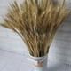 thumbnail image 4 of 100 Stems Dried Wheat Stalks 100% Natural Wheat Decor For Home Christmas Wedding-hy, 4 of 4