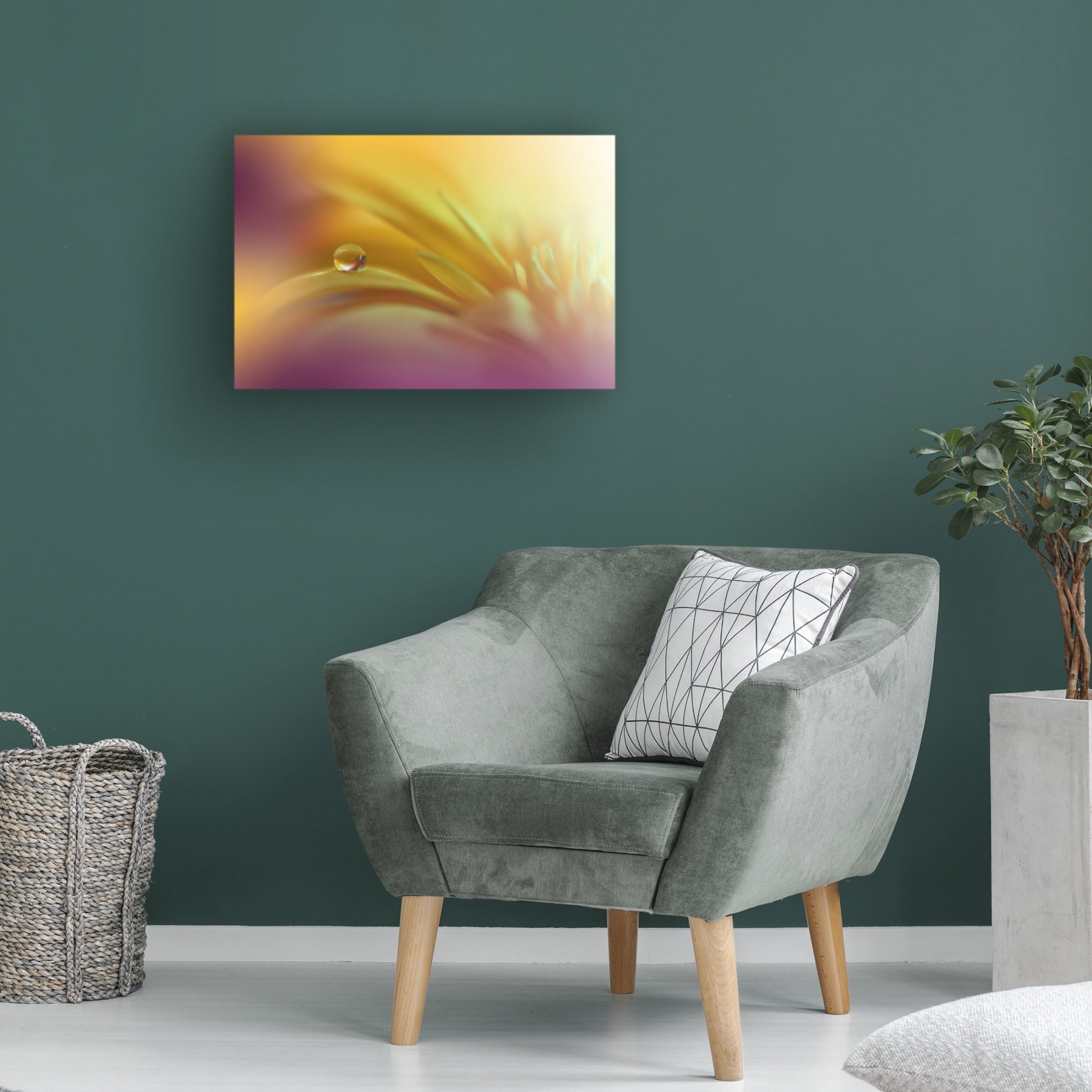 Trademark Fine Art Juliana Nan  A World Of Color Canvas Wall Art