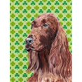 thumbnail image 1 of Carolines Treasures SC9566GF Irish Setter St Patricks Irish Flag Garden Size, 1 of 3