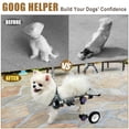 thumbnail image 2 of Silla de ruedas para perros LetPetRun ajustable, ligera, talla extra pequeña, 2 of 6