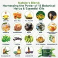 thumbnail image 4 of Aceite bálsamo OWELL NATURALS Tea Tree con vitamina E para la piel, 30 ml, 4 of 8