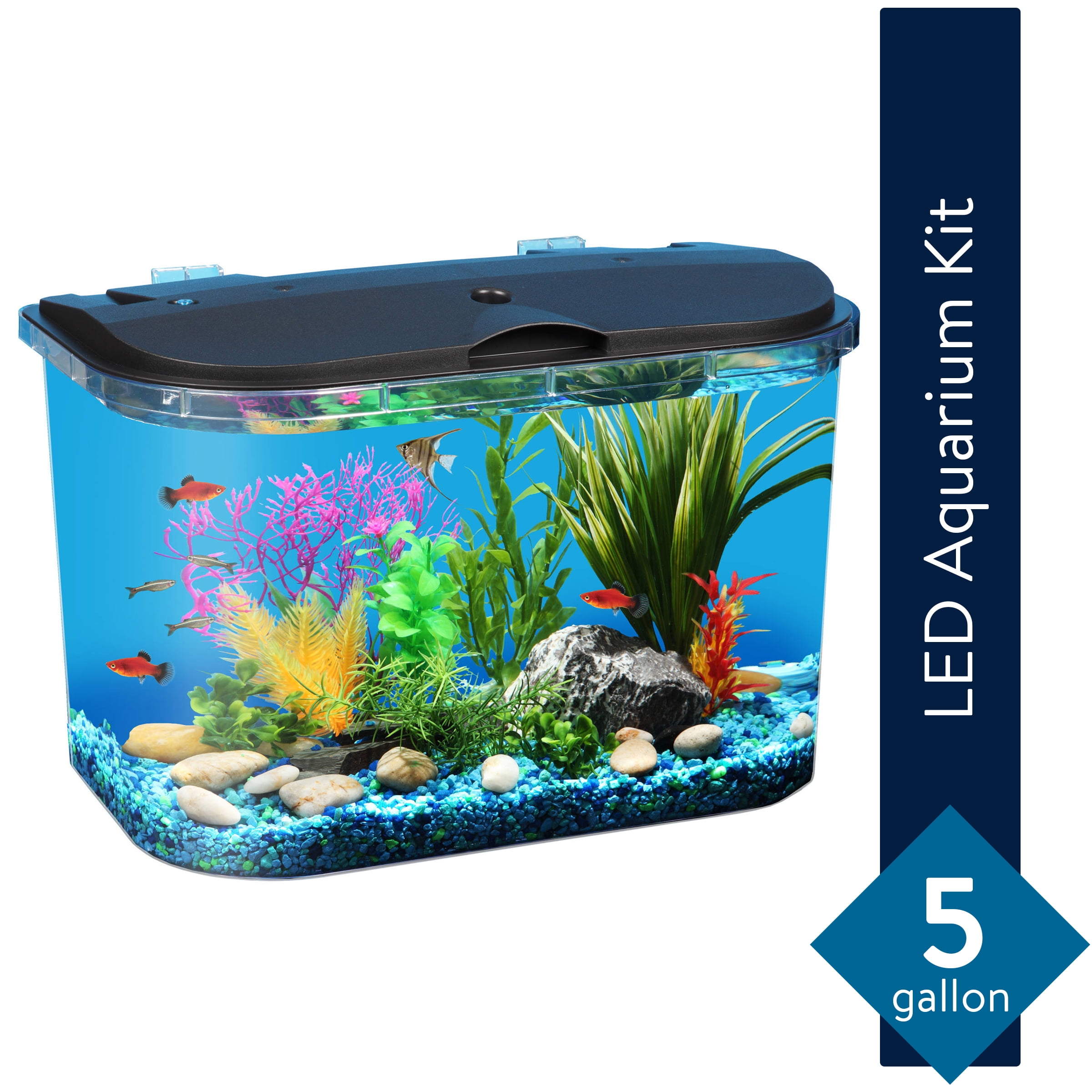 dosis antwoord Keizer KollerCraft 5-Gallon Aquarium Kit with LED Lighting and Power Filter, Ideal  for a Variety of Tropical Fish - Walmart.com