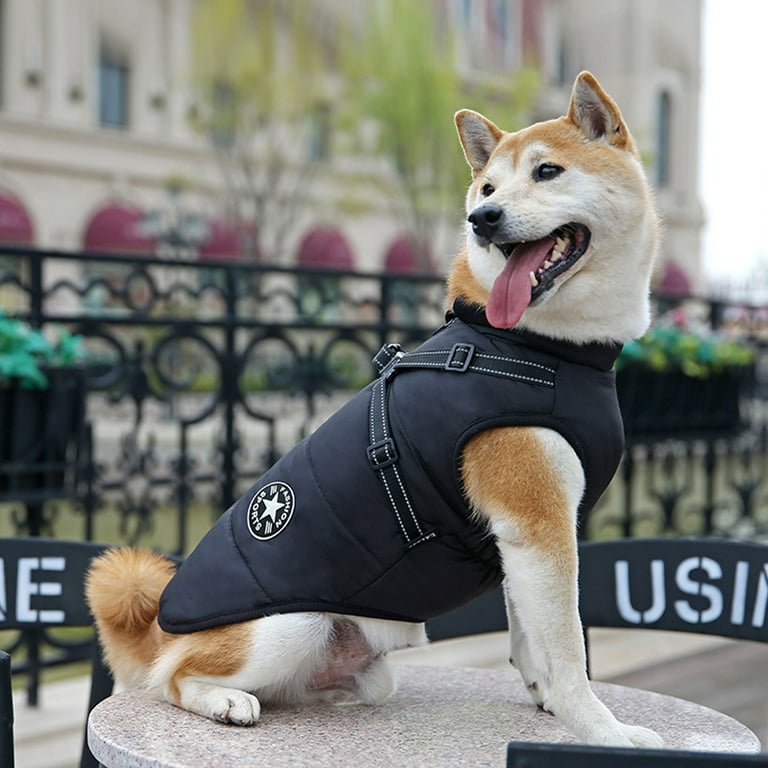 Walmart dog best sale jackets