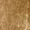 Gold, variant on Sequins Shirt for Women V-Neck T-Shirt Long Sleeves Tops Fashion Metallic Party Blouse Loose Oversized Pullover Tops Sparkly Casual Tops Pink XXL