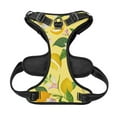 thumbnail image 5 of Lsque Lemon Dog Harness, No-Pull Pet Harness with 2 Leash Clips, Adjustable Soft Padded Dog Vest with Easy Control Handle for Large Dogs-Medium, 5 of 9