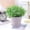 White, variant on Long Open Flowerpot Resin Flowerpot Balcony Large Rose Pot Pot Succulent Flowerpot Flower Pots