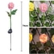 thumbnail image 2 of Luces solares de flores decorativas para exteriores, luces solares de crisantemo impermeables para exteriores, 2 of 5