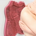 thumbnail image 2 of Shower Foot and Back Scrubber Massage Mat with Suction Cups Wall Mounted Exfoliating Bath Cleaning Pad for Deep Cleansing Skin, 2 of 4