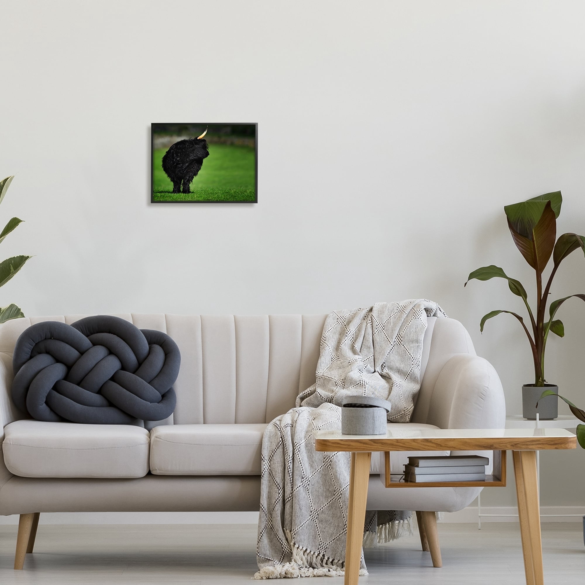 Stupell Industries Fuzzy Yak Looking Away Lush Grass Field Photograph Black Framed Art Print Wall Art, Design by James Dobson