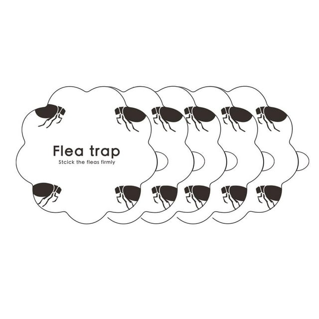 5 Uds Trampa Para Pulgas Pegatinas Adhesivas ANGGREK Color Blanco