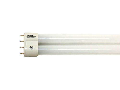 🕒 Hurry! Up to 40% OFF – Golden Farms CBD Gummies Discount Ending Soon