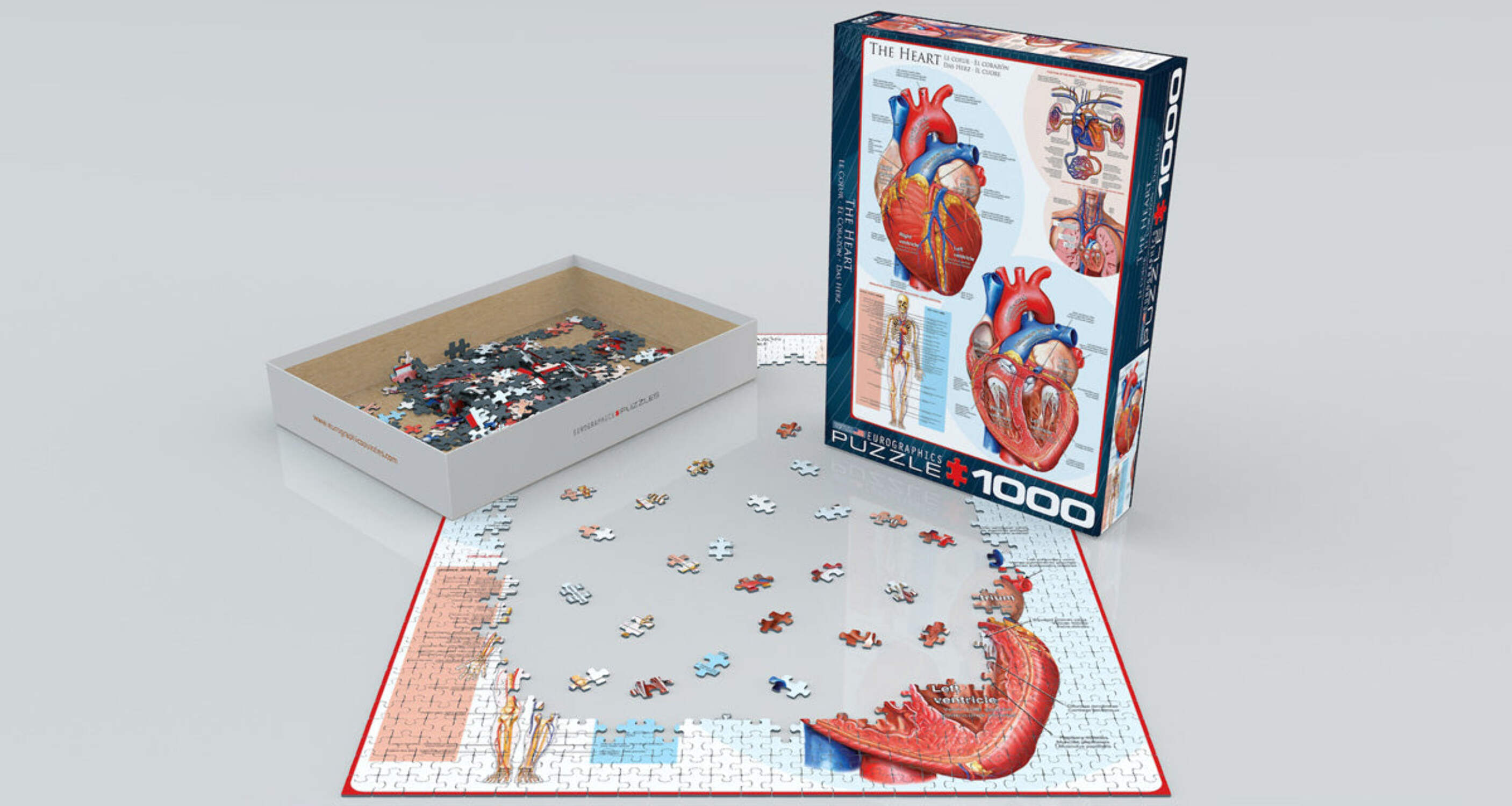 Eurographicspuzzles Science - The Heart - Jigsaw Puzzle - 1000 Pieces
