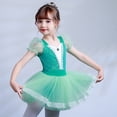 thumbnail image 3 of Toddler Girls Ballerina Tutu Dress Dance Costume Dancewear Tulle Skirt, 3 of 6