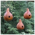 thumbnail image 3 of Everwilde Farms - 1 oz Birdhouse Bottle Gourd Seeds - Gold Vault Bulk Seed Packet, 3 of 3