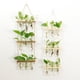 thumbnail image 4 of Tubos de Propagación de Plantas de 3 Niveles Mini Tubo de Ensayo Florero Maceta de Vidrio para Corte de Plantas Hidropónicas Hogar Jardín Decoración de Oficina Regalo ANGGREK  Otros, 4 of 8