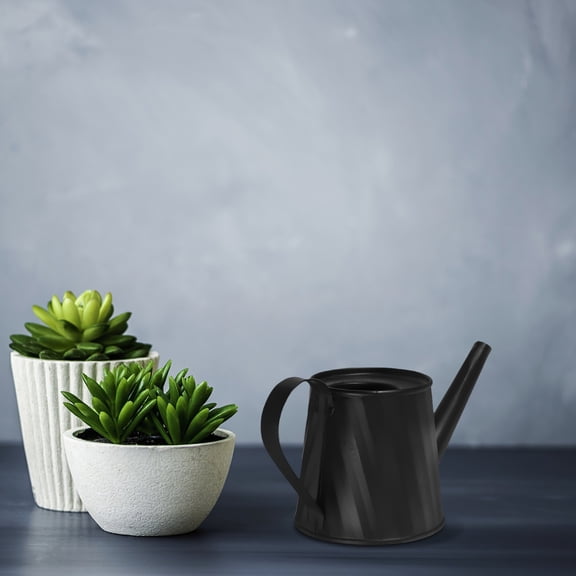 WORGEOUS Small Cute Watering Can For Indoor Plants Metal Watering Can With Comfortable Handle Mini Garden Water Jug Succulent Bonsai Pot