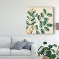 thumbnail image 3 of Trademark Fine Art 'Garden Bounty IX' Canvas Art by Vision Studio, 3 of 4