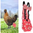 thumbnail image 2 of Pañal de Tela Lavable y Reutilizable para Aves, Ganso, Pato,, 2 of 5