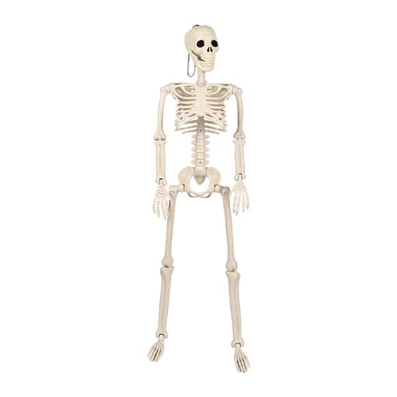 Decoración de esqueleto de Halloween perfecl articulaciones móviles 93 cm x 24 cm