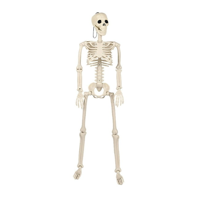 Decoración de esqueleto de Halloween perfecl articulaciones móviles 93 cm x 24 cm