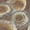 Brown, variant on Addison Rugs Chantille Indoor/Outdoor Transitional Geometric Aloe Machine Washable Rectangle Rug, 10' x 14'