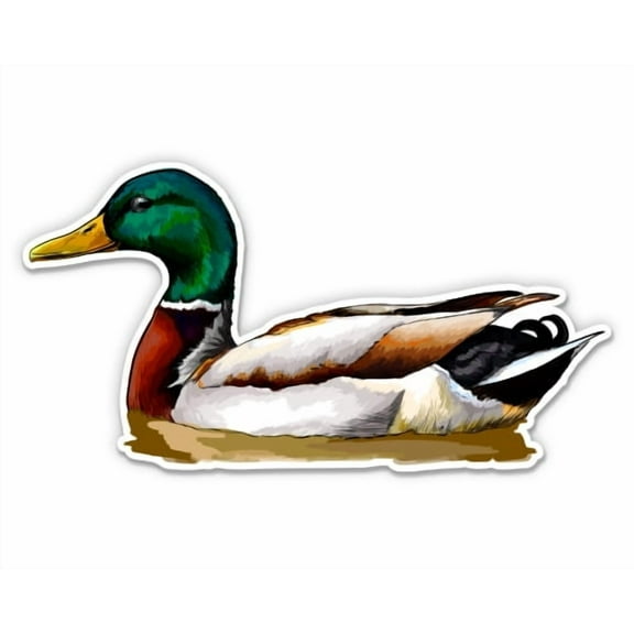 Swimming Mallard Duck - 3" Vinyl Sticker - For Car Laptop Water Bottle Phone - Waterproof Decal