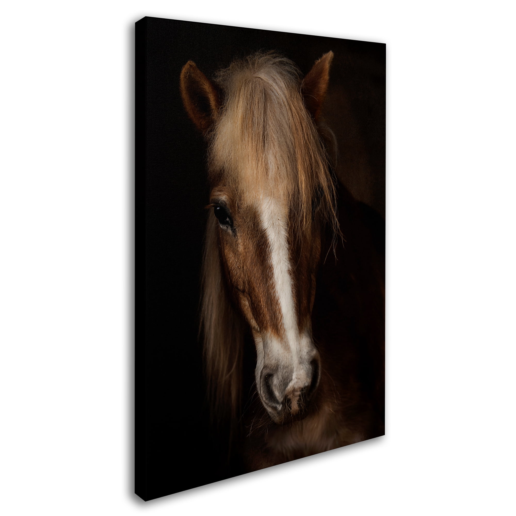 Martine Benezech 'Sapience' Canvas Art