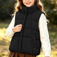 thumbnail image 6 of StSilkitty Puffer Vest for Boys Girls Full Zip up Sleeveless Stand Collar Jacket Coat Winter Warm Outerwear with Pockets, 6 of 9